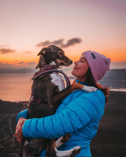 Pink Captain Merino Beanie – kvinne med lua klemmer en hund i solnedgang