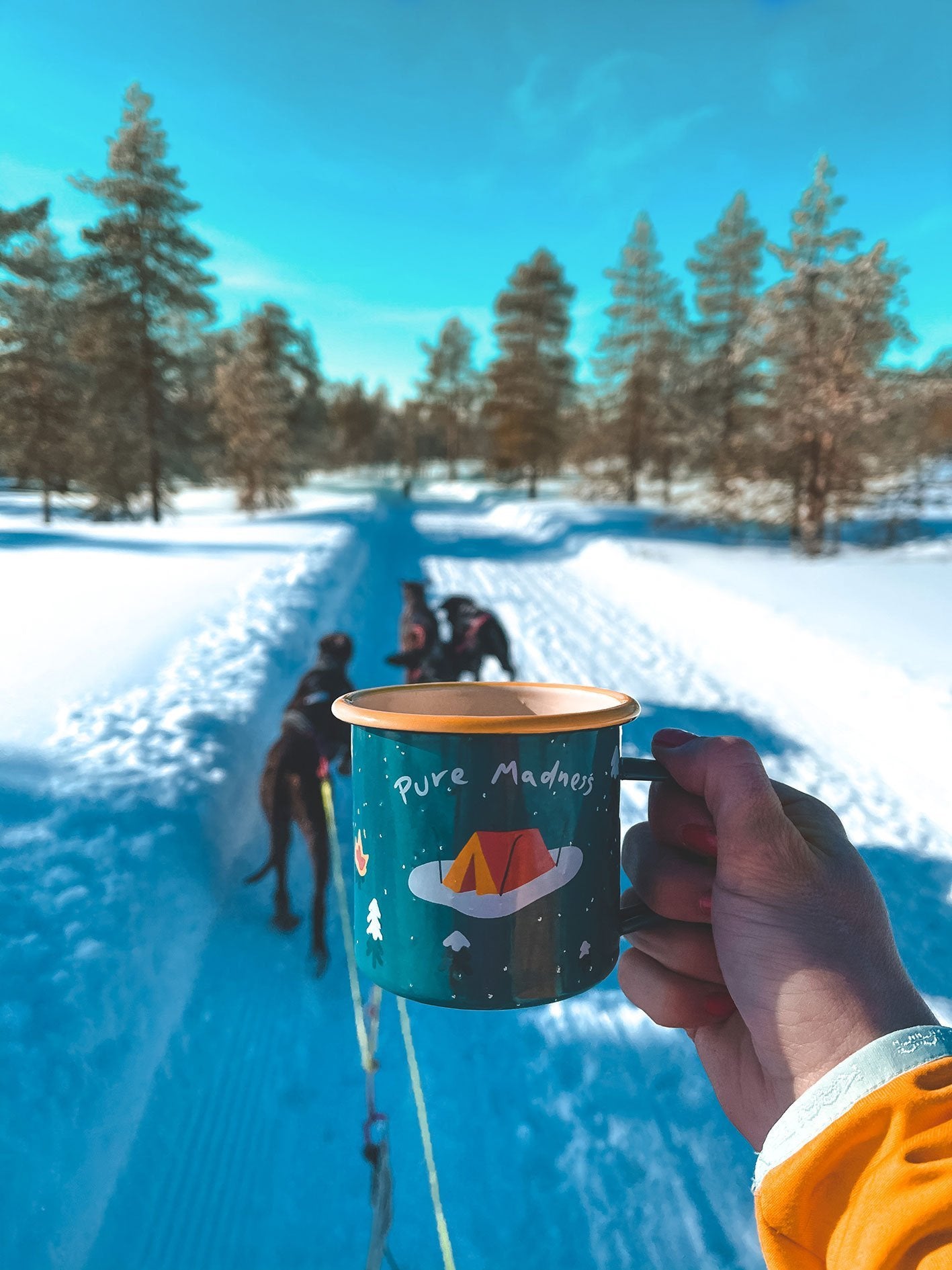 Winter Explorer Enamel Mug - Pure Madness Apparel